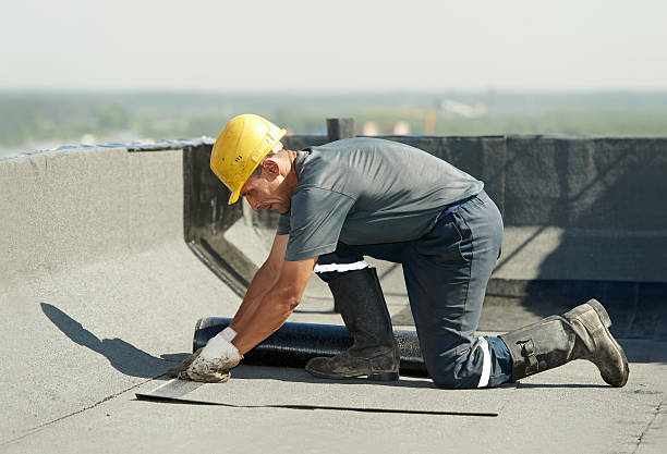 Best Geographic-Specific Insulation Services in Jones Valley, CA